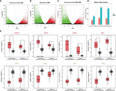 Identification of mRNA Prognostic Markers for TGCT by Integration of Co-Expression and CeRNA Network